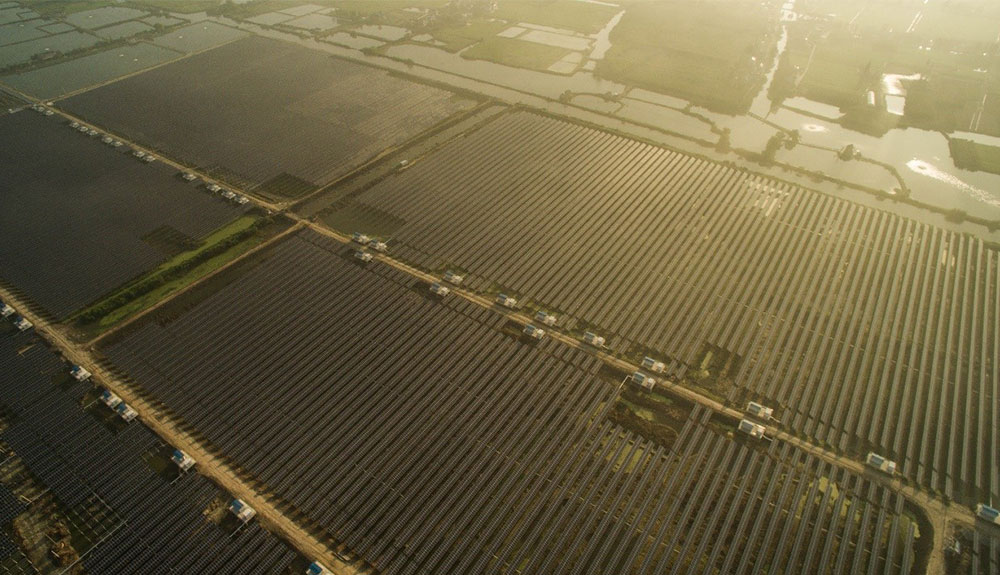 水上发电，水下养鱼——常州“渔光一体”模式走出绿色发展新路子！